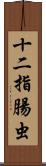 十二指腸虫 Scroll