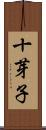 十芽子 Scroll