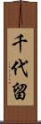 千代留 Scroll