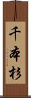 千本杉 Scroll