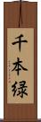 千本緑 Scroll