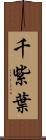 千紫葉 Scroll