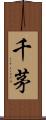 千茅 Scroll