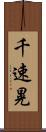 千速晃 Scroll