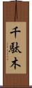 千駄木 Scroll