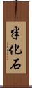 半化石 Scroll
