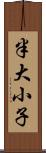 半大小子 Scroll