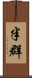 半群 Scroll