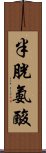 半胱氨酸 Scroll