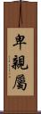 卑親屬 Scroll