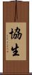 協生 Scroll