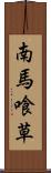 南馬喰草 Scroll