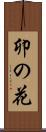 卯の花 Scroll