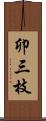 卯三枝 Scroll