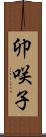 卯咲子 Scroll