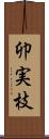 卯実枝 Scroll