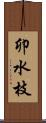 卯水枝 Scroll