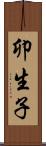 卯生子 Scroll