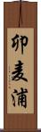 卯麦浦 Scroll