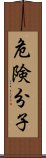 危険分子 Scroll