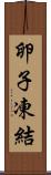 卵子凍結 Scroll