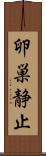 卵巣静止 Scroll