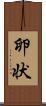 卵状 Scroll