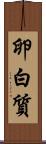 卵白質 Scroll