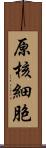 原核細胞 Scroll