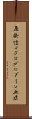 原発性マクログロブリン血症 Scroll