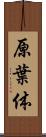 原葉体 Scroll