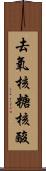 去氧核糖核酸 Scroll