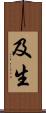 及生 Scroll