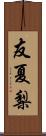 友夏梨 Scroll