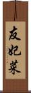 友妃菜 Scroll