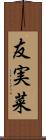 友実菜 Scroll