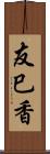 友巳香 Scroll