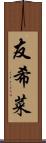 友希菜 Scroll