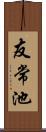 友常池 Scroll