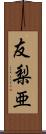 友梨亜 Scroll
