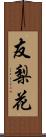 友梨花 Scroll