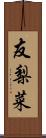 友梨菜 Scroll