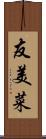 友美菜 Scroll