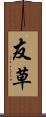 友草 Scroll