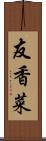 友香菜 Scroll