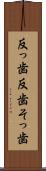 反っ歯 Scroll