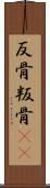 反骨 Scroll