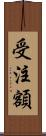 受注額 Scroll