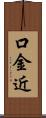 口金近 Scroll