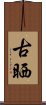 古晒 Scroll